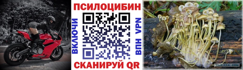 Псилоцибиновые грибы ЛСД  мега ONION  Мышкин 